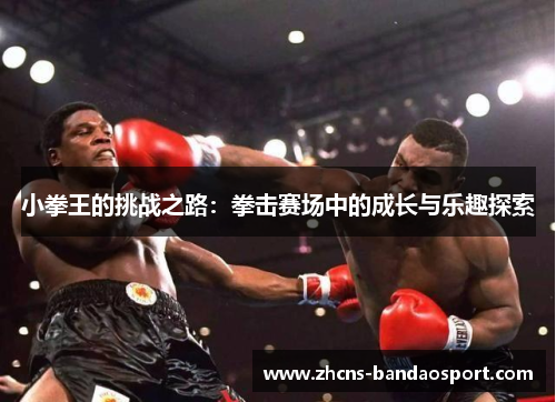 小拳王的挑战之路：拳击赛场中的成长与乐趣探索