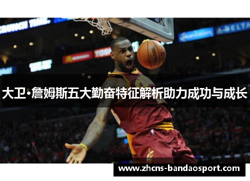 大卫·詹姆斯五大勤奋特征解析助力成功与成长