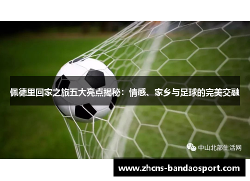 佩德里回家之旅五大亮点揭秘:情感、家乡与足球的完美交融 佩德里回家之旅五大亮点揭秘:情感、家乡与足球的完美交融