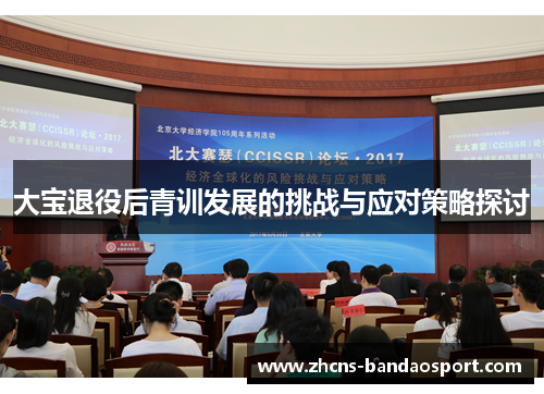 大宝退役后青训发展的挑战与应对策略探讨