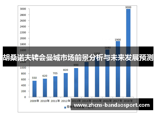 胡桑诺夫转会曼城市场前景分析与未来发展预测