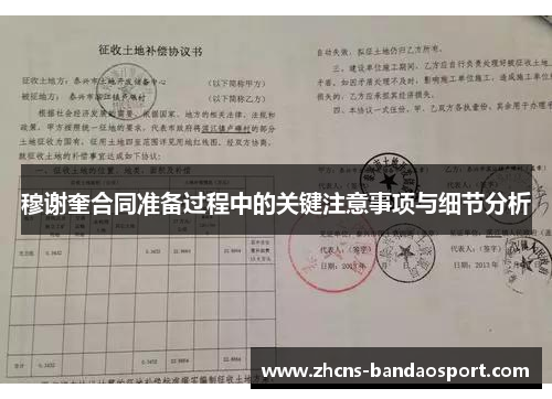 穆谢奎合同准备过程中的关键注意事项与细节分析