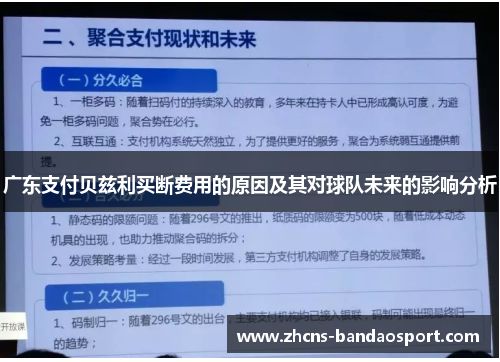 广东支付贝兹利买断费用的原因及其对球队未来的影响分析